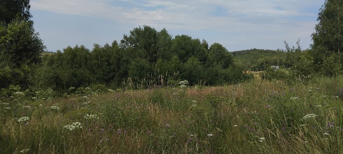Teren intravilan 9535 mp (cota ¾ din ½), Bratca – Sat Damiș, Bihor