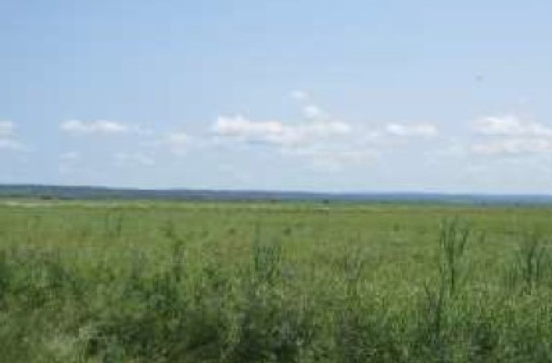 Cota 3/8 din teren extravilan agricol, Com.Costuleni, Jud.Iasi