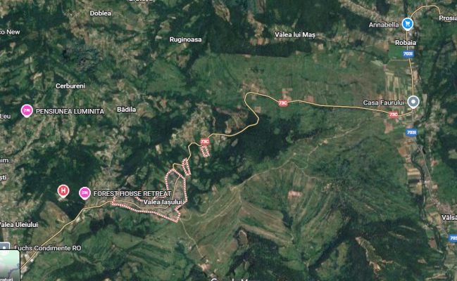 Cota 1/2 din terenuri extravilane și construcție în comuna Valea Iașului, jud. Argeș