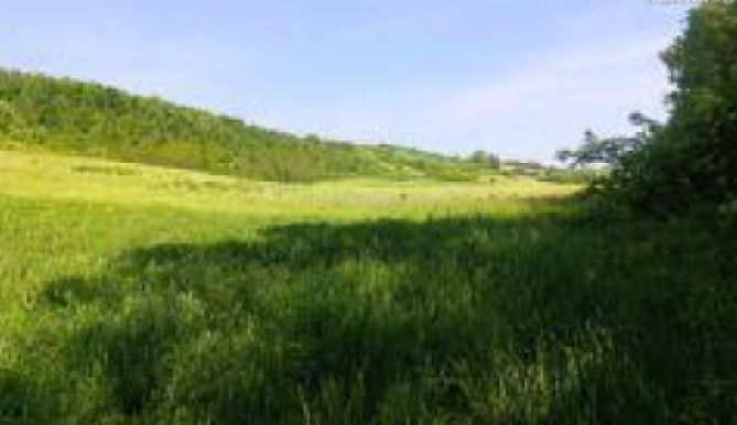 Cota 1/2 teren 7400 mp extravilan, Comuna Pomârla, jud. Botoșani