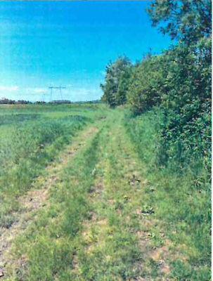 Cotă de 1/2 din teren extravilan arabil, com. Vadu Moldovei, județul Suceava 6387596