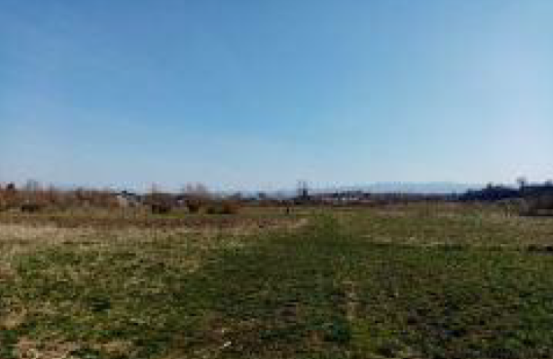 Cota de 1/2 din teren 2100 mp in Budacu de Jos, Jud. Bistrița-Năsăud