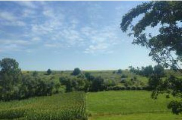 Cota 1/2 din teren extravilan agricol, Com.Stoiesti, Jud.Suceava