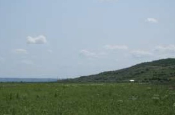 Cota 3/8 din teren extravilan agricol, Com.Costuleni, Jud.Iasi