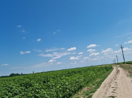 Teren agricol extravilan, localitatea Dobrosloveni
