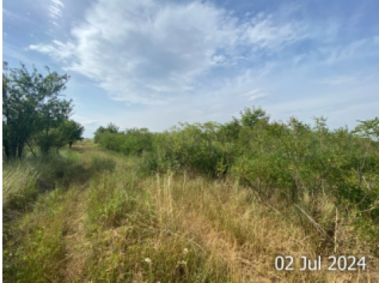 Cota de 2/5 din TEREN EXTRAVILAN ARABIL în loc. Cateasca, sat Ciresu, tarla 20, parcela 199, jud. Arges