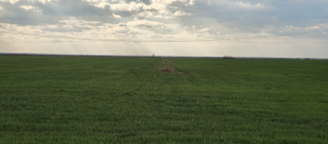 Teren extravilan 5.573 mp. sat Bujoreanca, com. Cornesti, jud. Dambovita 6326715