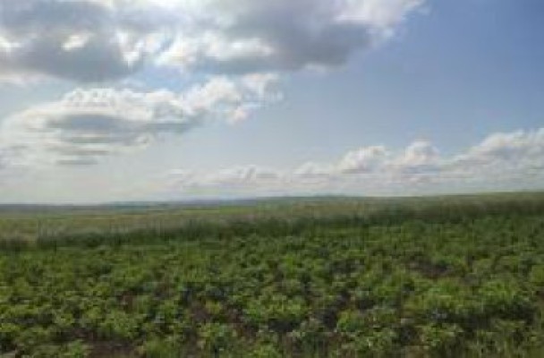 Cota 3/8 din teren extravilan agricol, Loc. Gramești, Jud. Suceava
