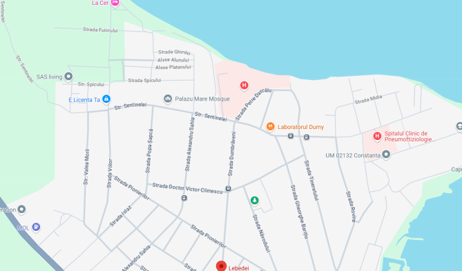 Cota de 1/4 din casa cu teren Palazu Mare, jud. Constanta