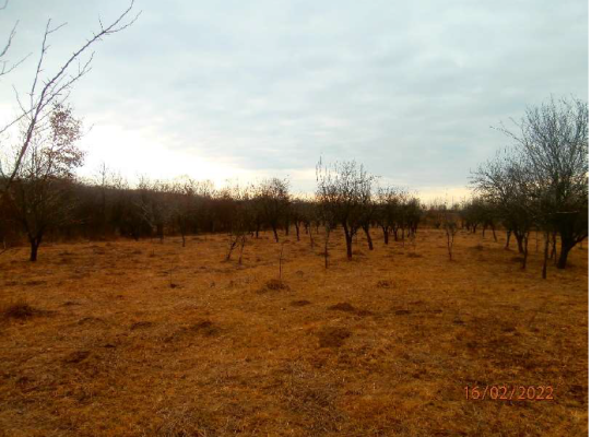 Teren agricol extravilan, Moreni