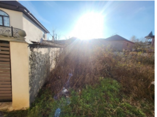 Teren intravilan agricol sat Toflea, com. Brahasesti