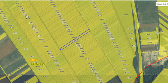Cota de 4/24 din teren extravilan în Bălești, jud. Gorj –  6.900 mp