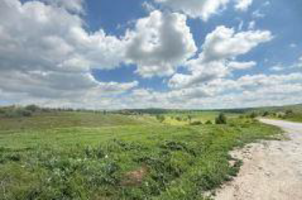 Cote indivize din teren extravilan agricol – vie, 4.300 mp, Sat Valea Teilor, jud. Tulcea 7409013