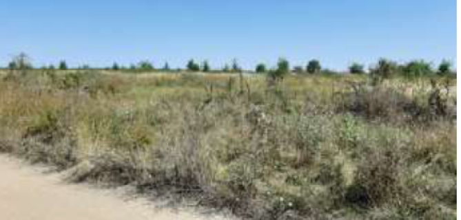 Teren Intravilan, sat Macheaua, com Corbeanca