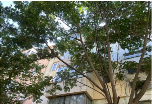 Cota de 3/8 din apartament 2camere, Alexandria, Teleorman
