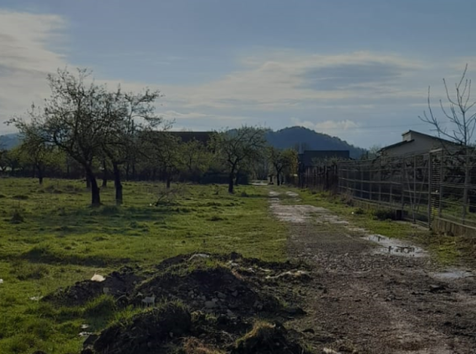 Teren agricol intravilan 3290 mp, zona Voila, Campina