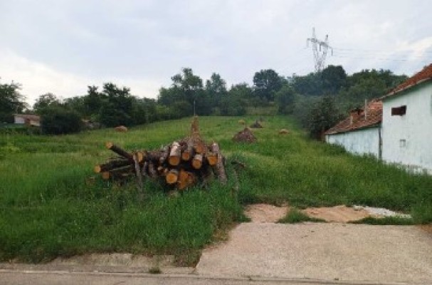 Cota 1/4 din teren agricol 1000 mp, Sat Tartaria, Com.Salistea, Jud. Alba