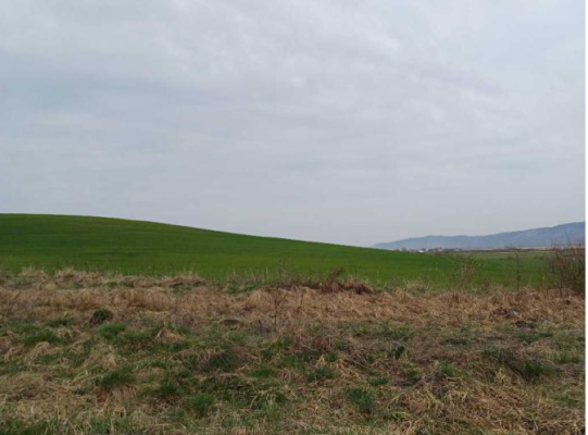 Cota 1/2 teren extravilan 1100 mp – Luna, județul Cluj