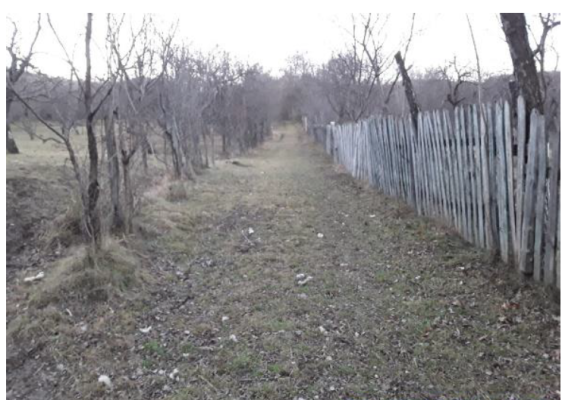 Teren agricol intravilan 2.791 mp, Breaza, Cartier Gura Beliei, str. Lazului, nr. 28A
