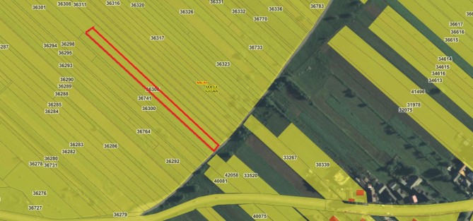 Teren agricol extravilan, loc numit "Bratiana", Com.Malini, Jud. Suceava