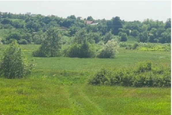 Teren agricol extravilan, Com Barnova, Jud. Iasi