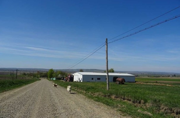 Teren agricol arabil in suprafata de 2000 mp, Varfu Campului, jud. Botosani