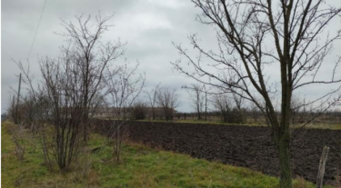 Teren intravilan 3000mp, loc. Garbovi, judetul Ialomita