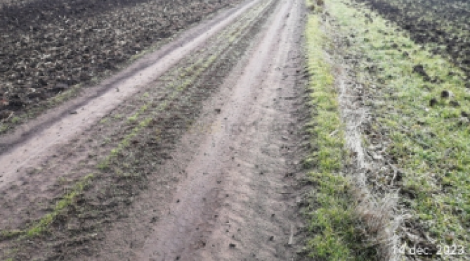 Teren agricol extravilan arabil, Comuna Ilieana, Jud. Calarasi