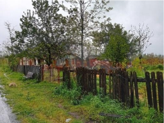 Cotă de 1/2 din casă cu teren 1.397 mp, Ciocănești, județul Călărași