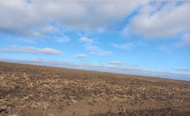 Cota de 1/20 din Teren agricol extravilan, Com.Vaculesti, Jud. Botosani
