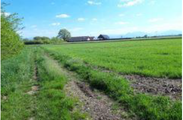 Cota de 6/16 din teren agricol extravilan sat Coseni, jud. Covasna 5903810