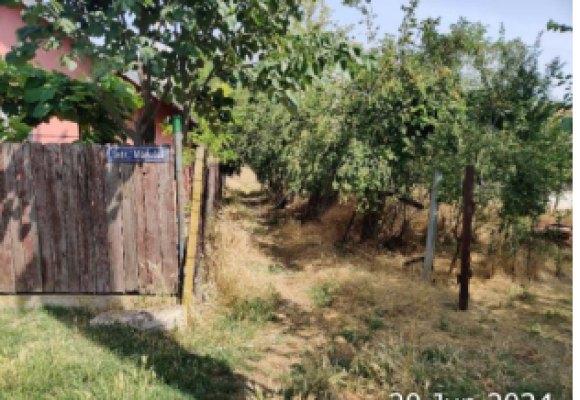 Casa tip P si teren, Seinoiu, comuna Tamadau Mare, Intrarea Marului, judet Calarasi