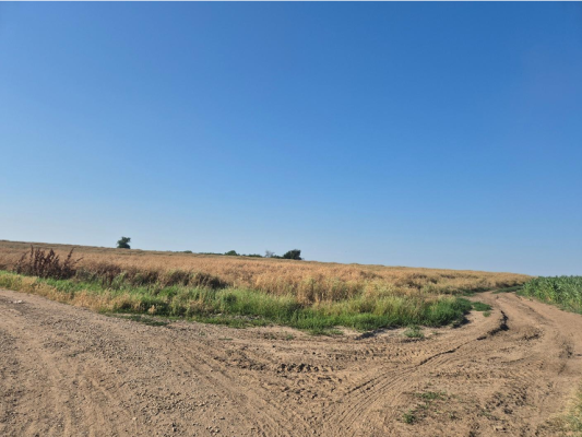 Cota 1/9 din teren agricol extravila, comuna Petrachioaia, judetul Ilfov-6750733