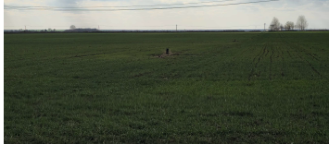 Teren extravilan 5.573 mp. sat Bujoreanca, com. Cornesti, jud. Dambovita 6326715