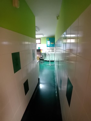 Vila individuala S+P+E+M cu destinatie medicala in Cluj, Strada Caisului, jud. Cluj