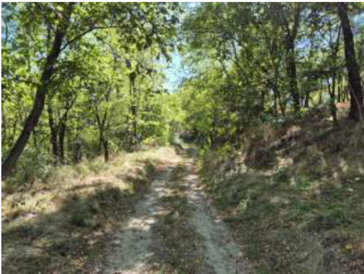 Cota 1/2 din terenuri extravilane și construcție în comuna Valea Iașului, jud. Argeș