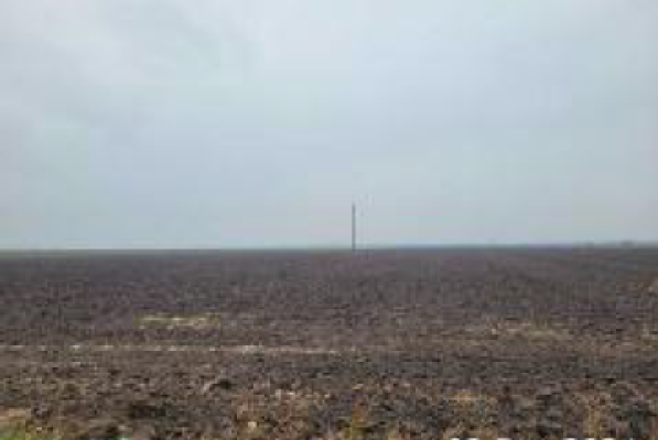 Teren agricol extravilan 400 mp. com. Puiesti, jud. Buzau 5689411