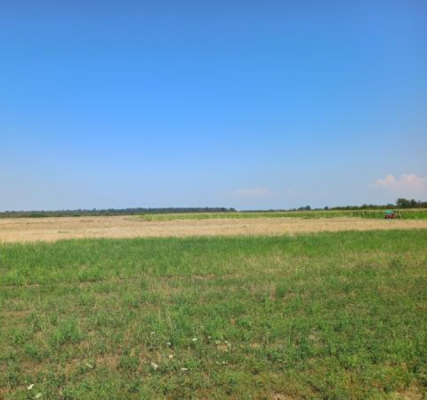 Cota de 5557/20000 din teren agricol extravilan 12.200 mp – Comuna Uliești, județul Dâmbovița