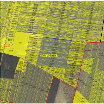 Teren agricol extravilan 400 mp. com. Puiesti, jud. Buzau 5689411