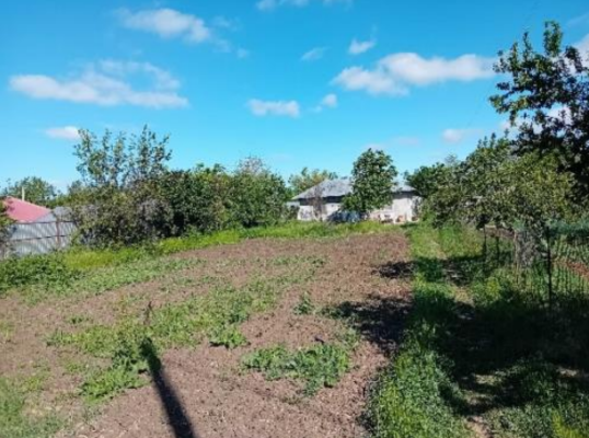 Cota 3/8 din casă și teren 1.836 mp – Valea Stanii, comuna Luica, județul Călărași