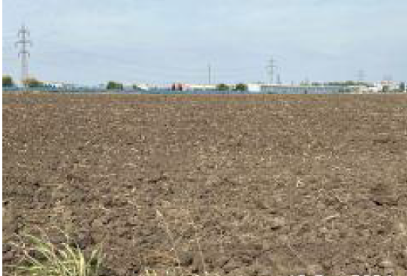 Cota de 1/20 din teren agricol, 10.364 mp, Popesti Leordeni, Ilfov