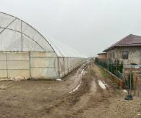 Teren intravilan 500 mp | Dobreni, Comuna Vărăști, județul Giurgiu