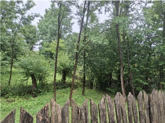 Cota 2/3 din teren intravilan 2500mp, Loc. Alunis, judetul Prahova