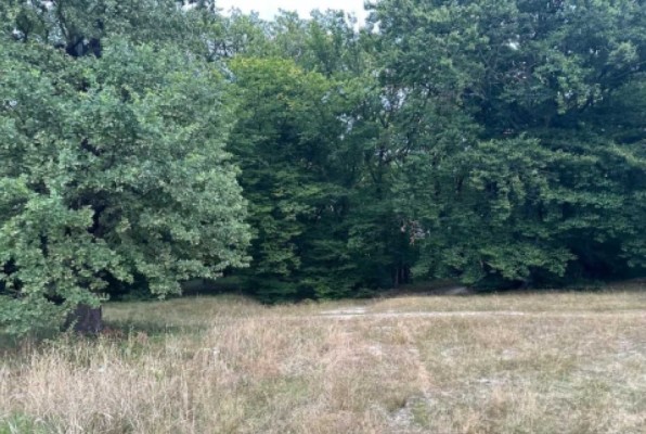 Teren extravilan agricol in Medias, jud. Sibiu