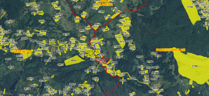 Teren extravilan 32.000mp in sat Maglasi, judetul Valcea