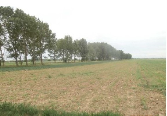 Teren agricol extravilan, Com.Mogosani, Jud.Dambovita