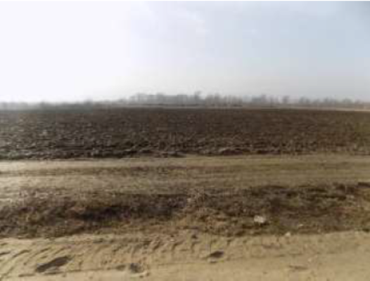 Teren agricol extravilan arabil, 1 Decembrie, Jud. Ilfov