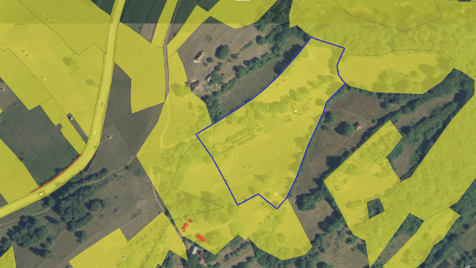 Teren intravilan 18.882 mp (cota ¾ din ½), Bratca – Sat Damiș, Bihor