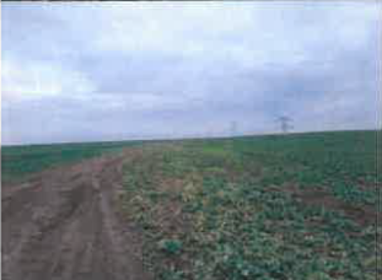 Cota de 3/8 din teren agricol extravilan com. Smeeni, jud. Buzau 5603661