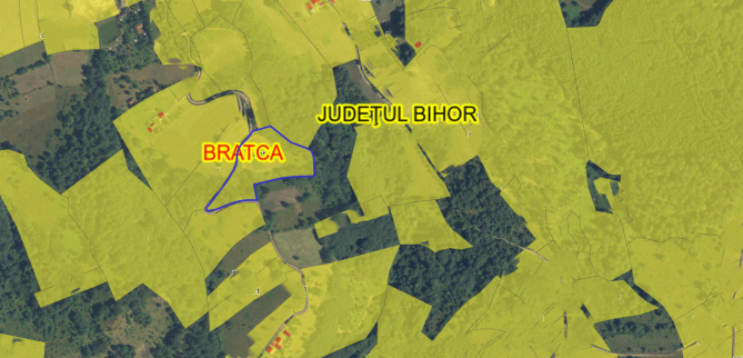 Teren intravilan 4.351 mp (cota ⅜ din 11.603 mp), Bratca – Sat Damiș, Bihor